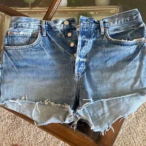 Agolde Parker Vintage Shorts